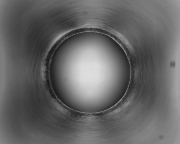 X0000103150926200808221327
