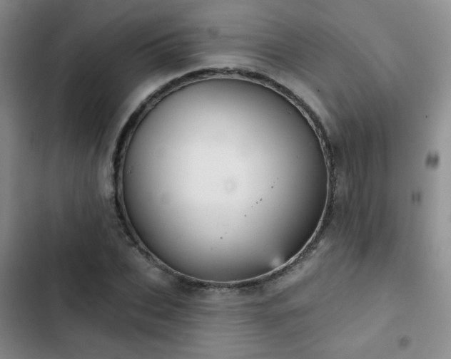 X0000103150927200808221327
