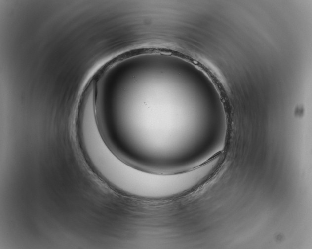X0000103150928200808221327