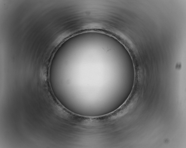 X0000103150929200808221327