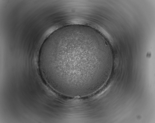 X0000103150930200808221327