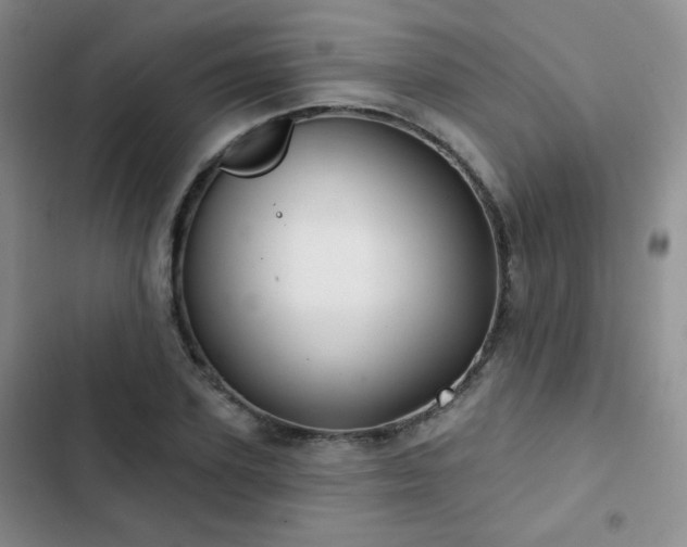 X0000103150931200808221327