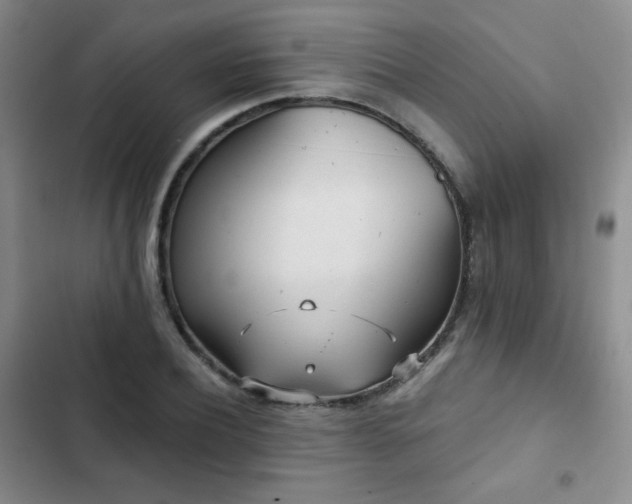 X0000103150932200808221327