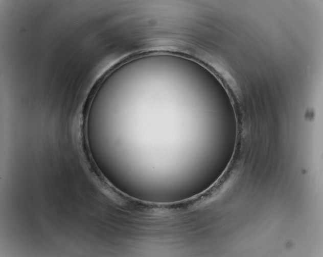 X0000103150933200808221327