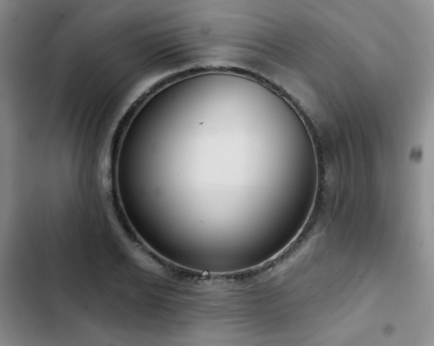 X0000103150934200808221327