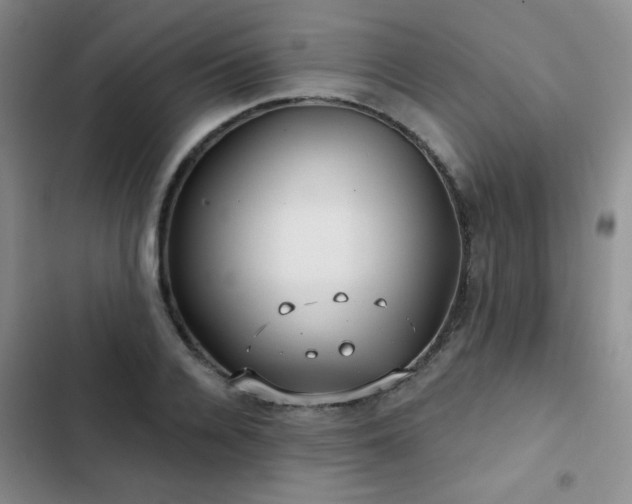 X0000103150936200808221327