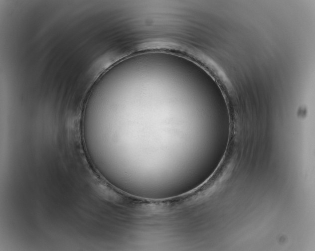 X0000103150937200808221327