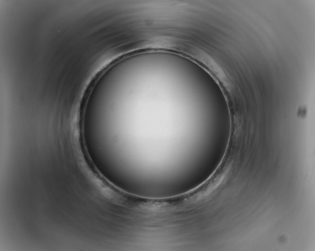 X0000103150939200808221327
