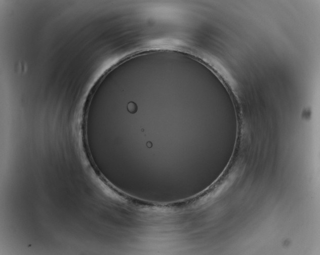 X0000103150941200808221327