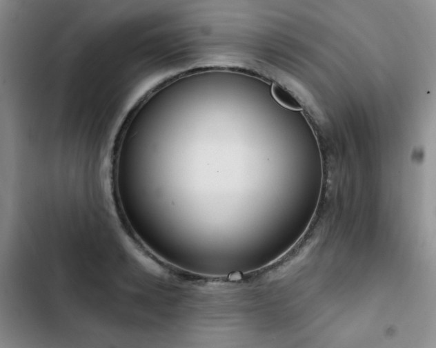 X0000103150942200808221327