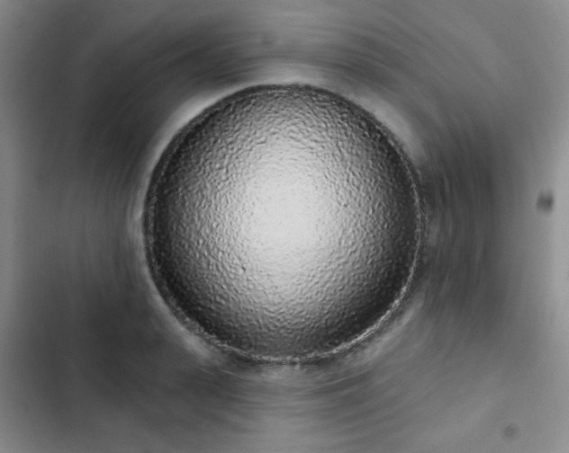X0000103150943200808221327