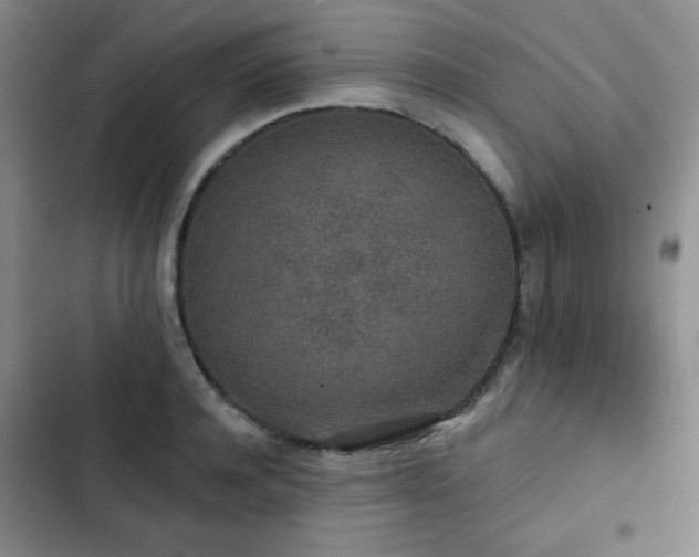 X0000103150944200808221327