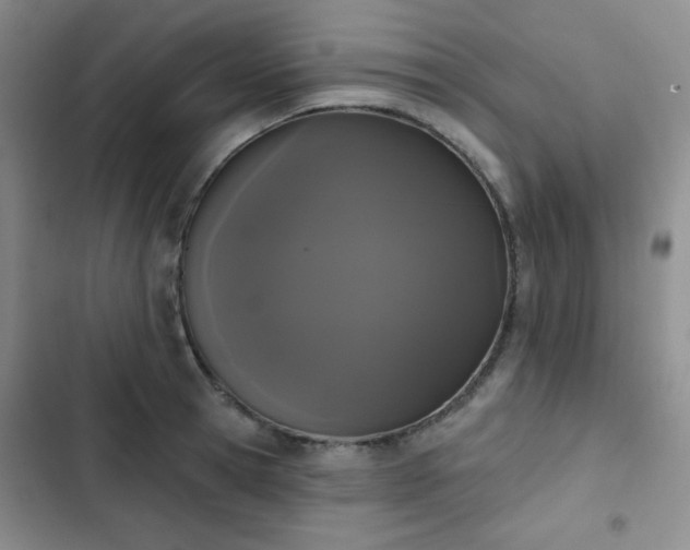X0000103150945200808221327