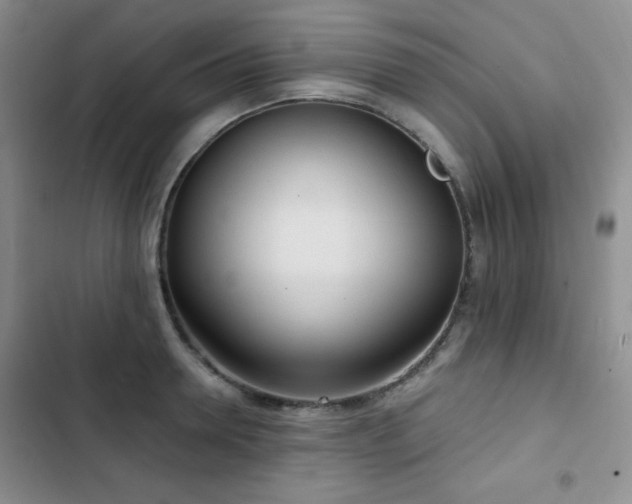 X0000103150946200808221327
