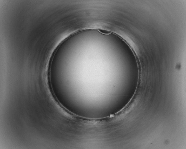 X0000103150949200808221328