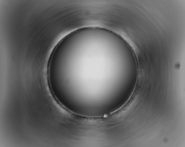 X0000103150951200808221328