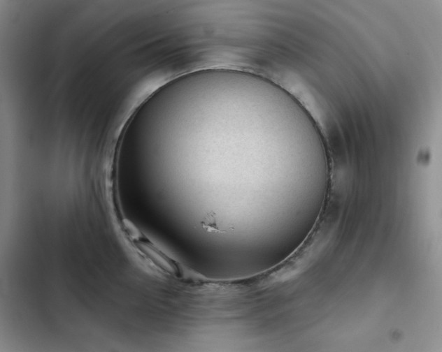 X0000103150954200808221328