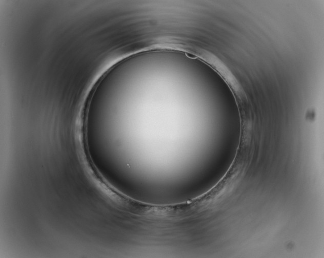 X0000103150955200808221328