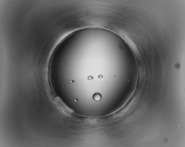X0000103150956200808221328