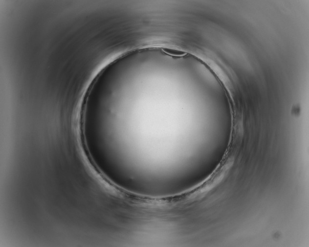 X0000103150957200808221328