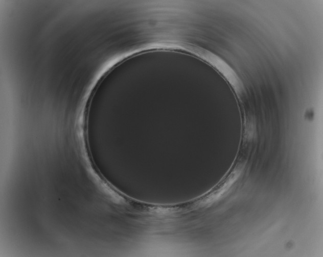 X0000103150958200808221328