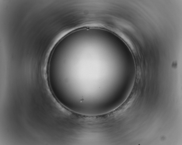 X0000103150959200808221328