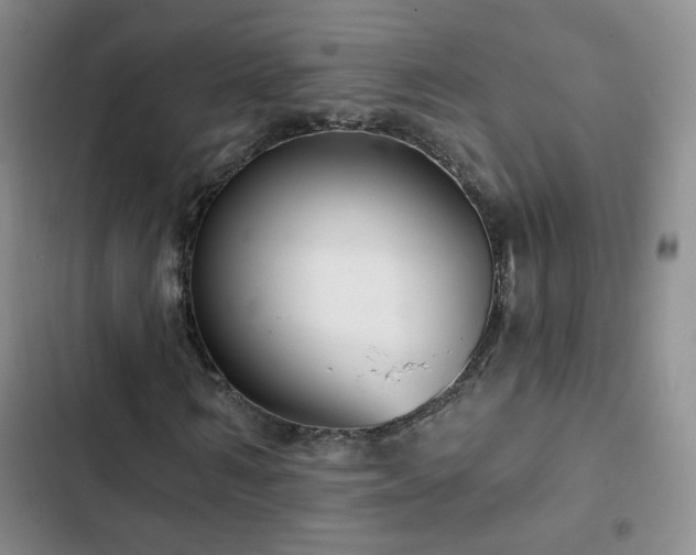 X0000103150962200808221327