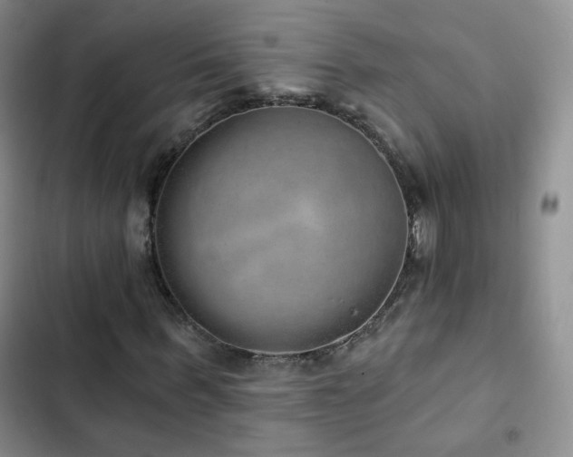 X0000103150963200808221327