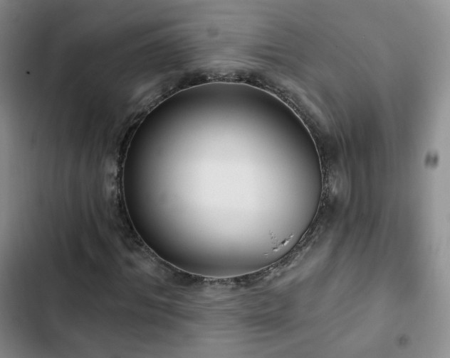 X0000103150964200808221327