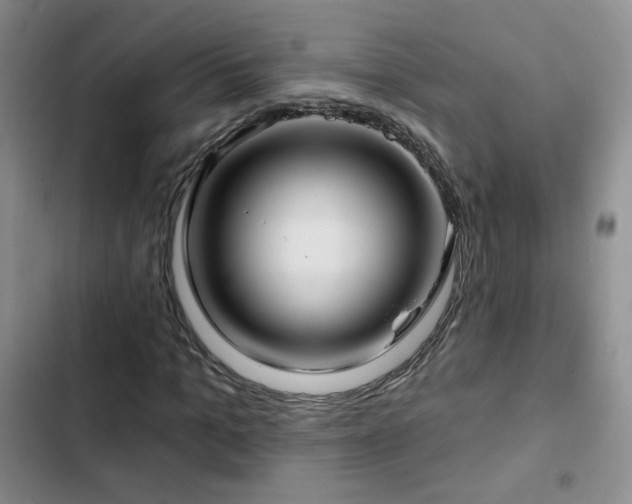 X0000103150965200808221327