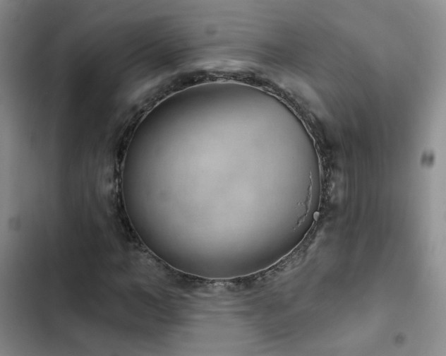 X0000103150966200808221327
