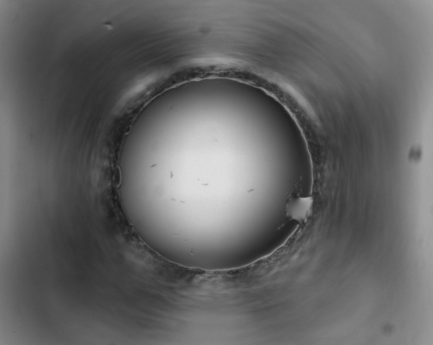 X0000103150967200808221327