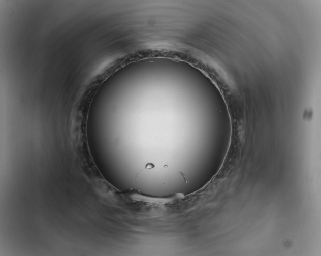 X0000103150968200808221327