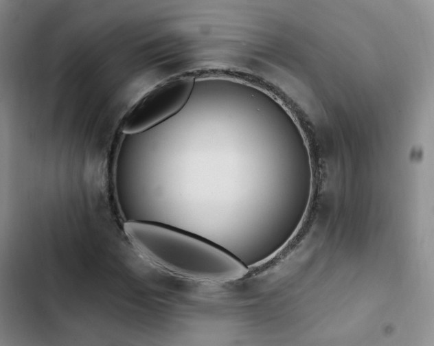 X0000103150969200808221327