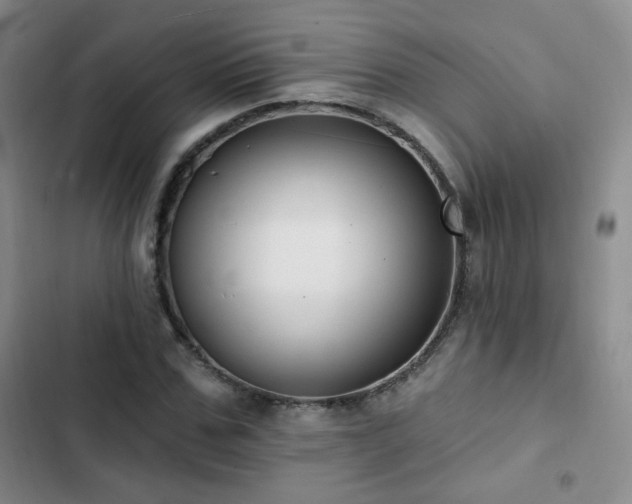 X0000103150971200808221327
