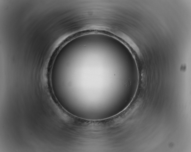X0000103150972200808221327