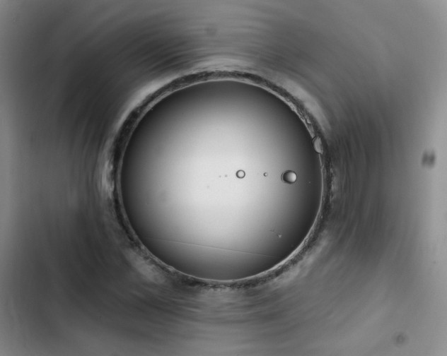 X0000103150973200808221327