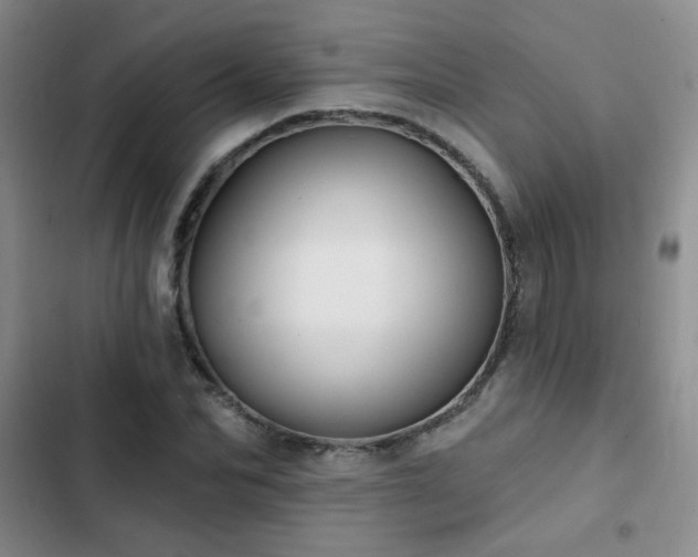 X0000103150974200808221327