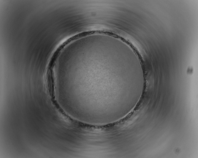 X0000103150975200808221327