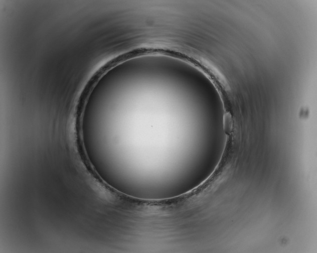 X0000103150976200808221327