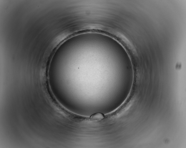X0000103150977200808221327