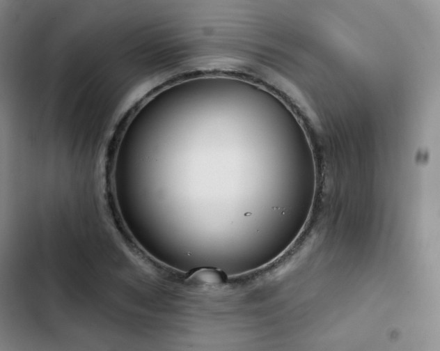 X0000103150978200808221327