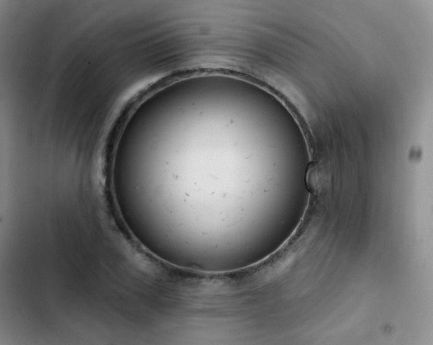 X0000103150979200808221327