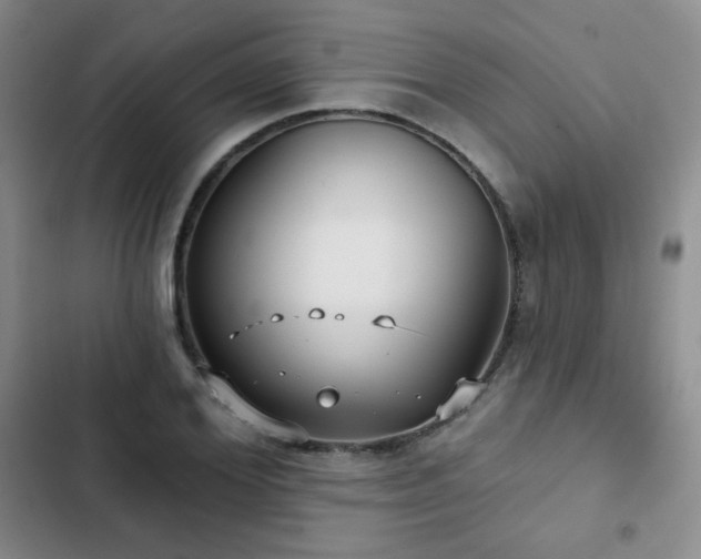 X0000103150980200808221327