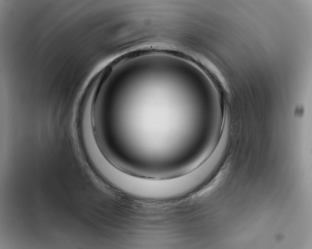 X0000103150981200808221327