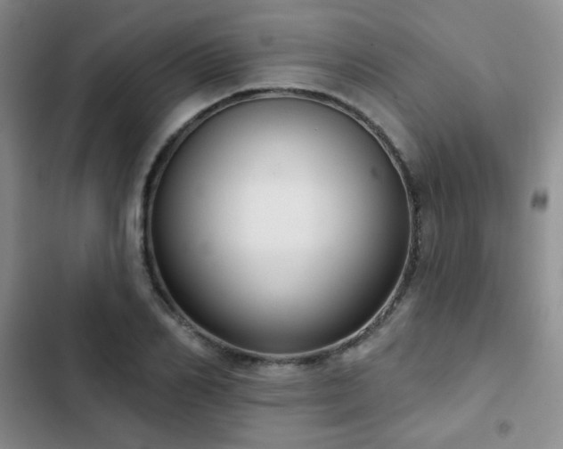 X0000103150982200808221327