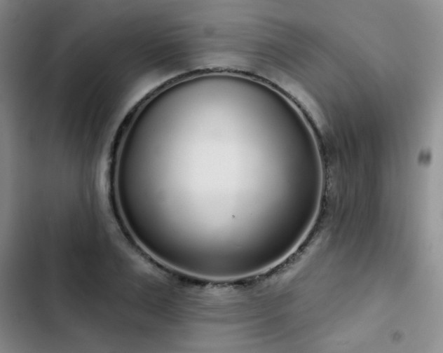 X0000103150983200808221327