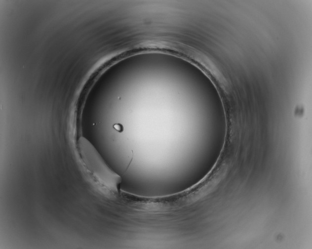 X0000103150984200808221327