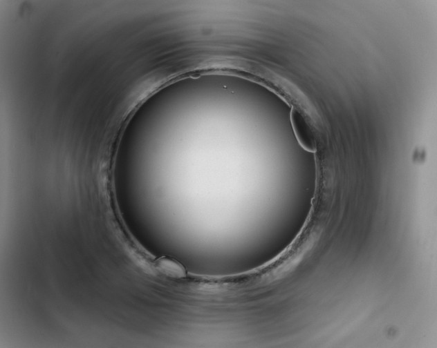 X0000103150985200808221327