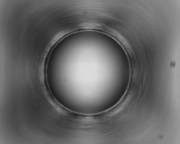 X0000103150986200808221326